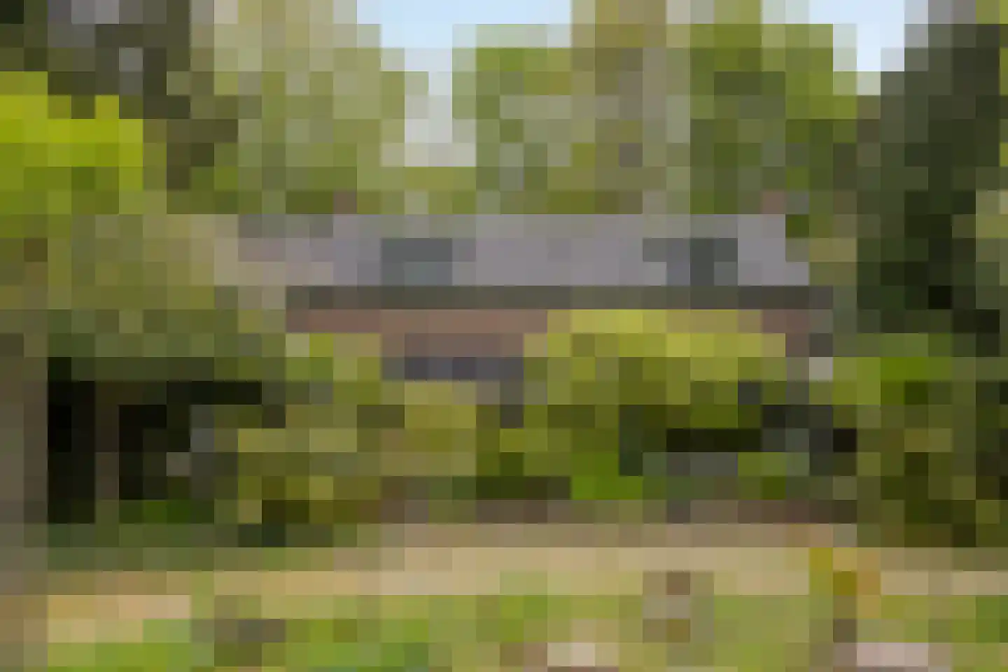 Zandpad 3 Koewacht