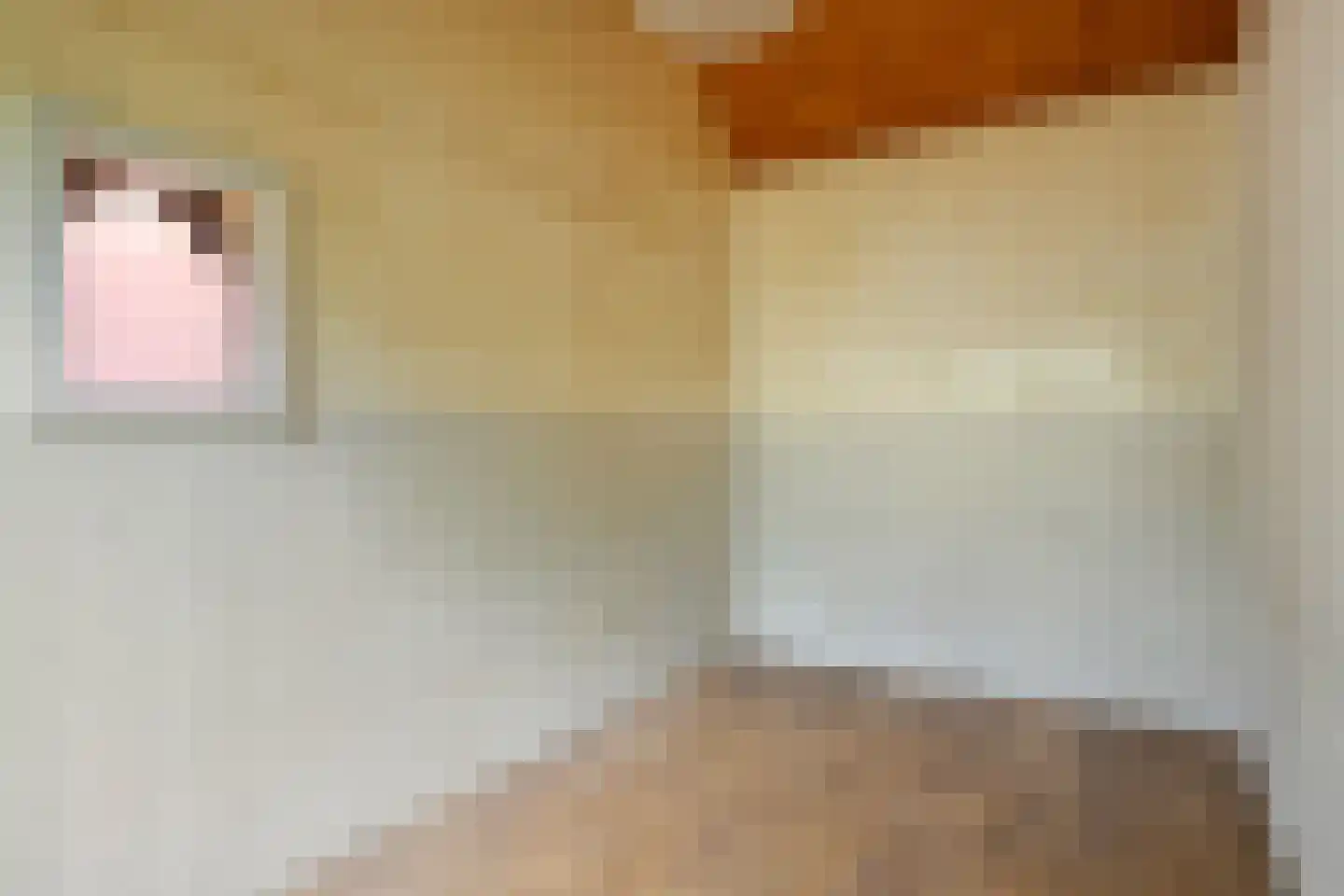 Zandpad 3 Koewacht thumbnail 15
