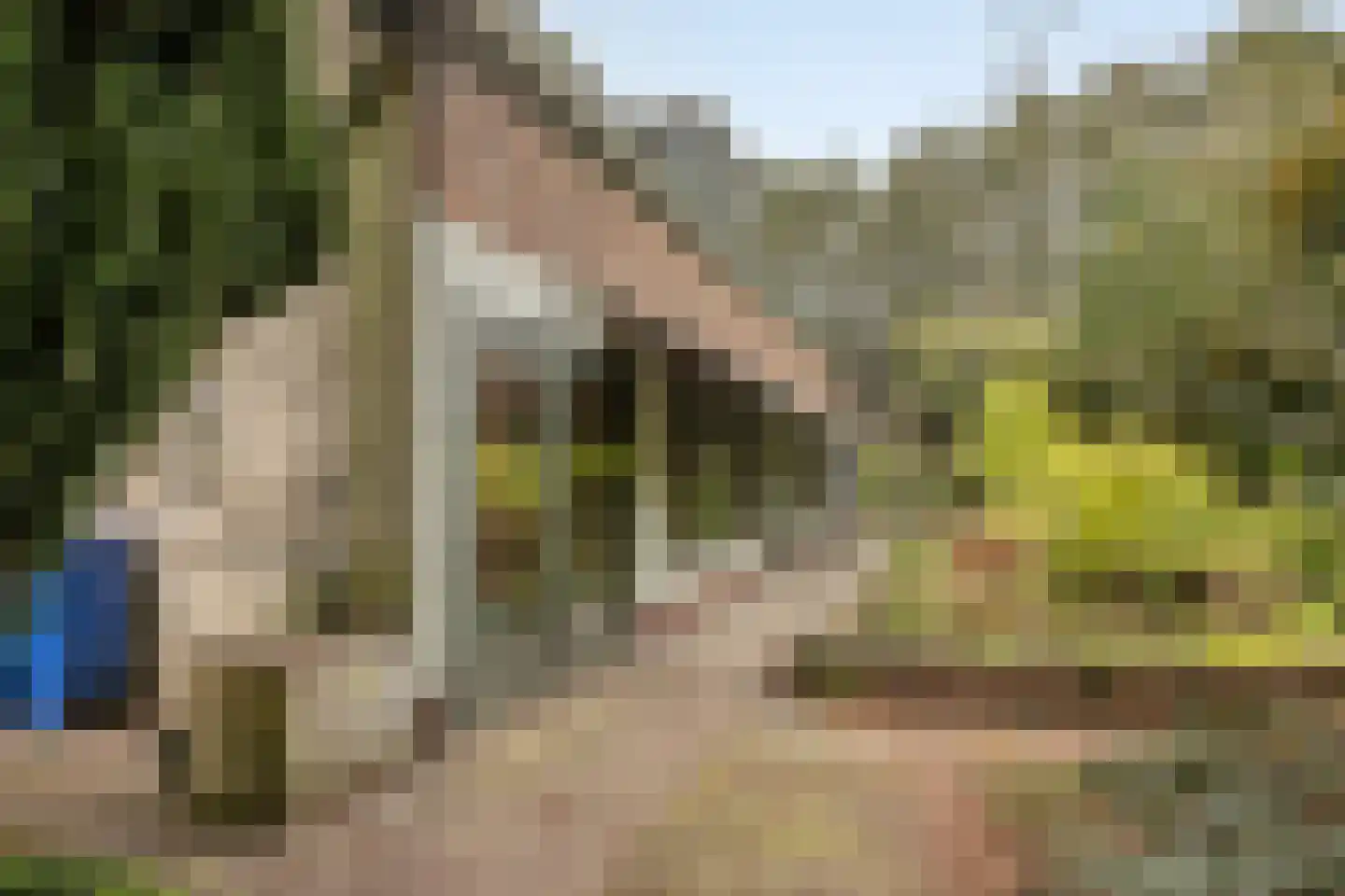 Zandpad 3 Koewacht thumbnail 24