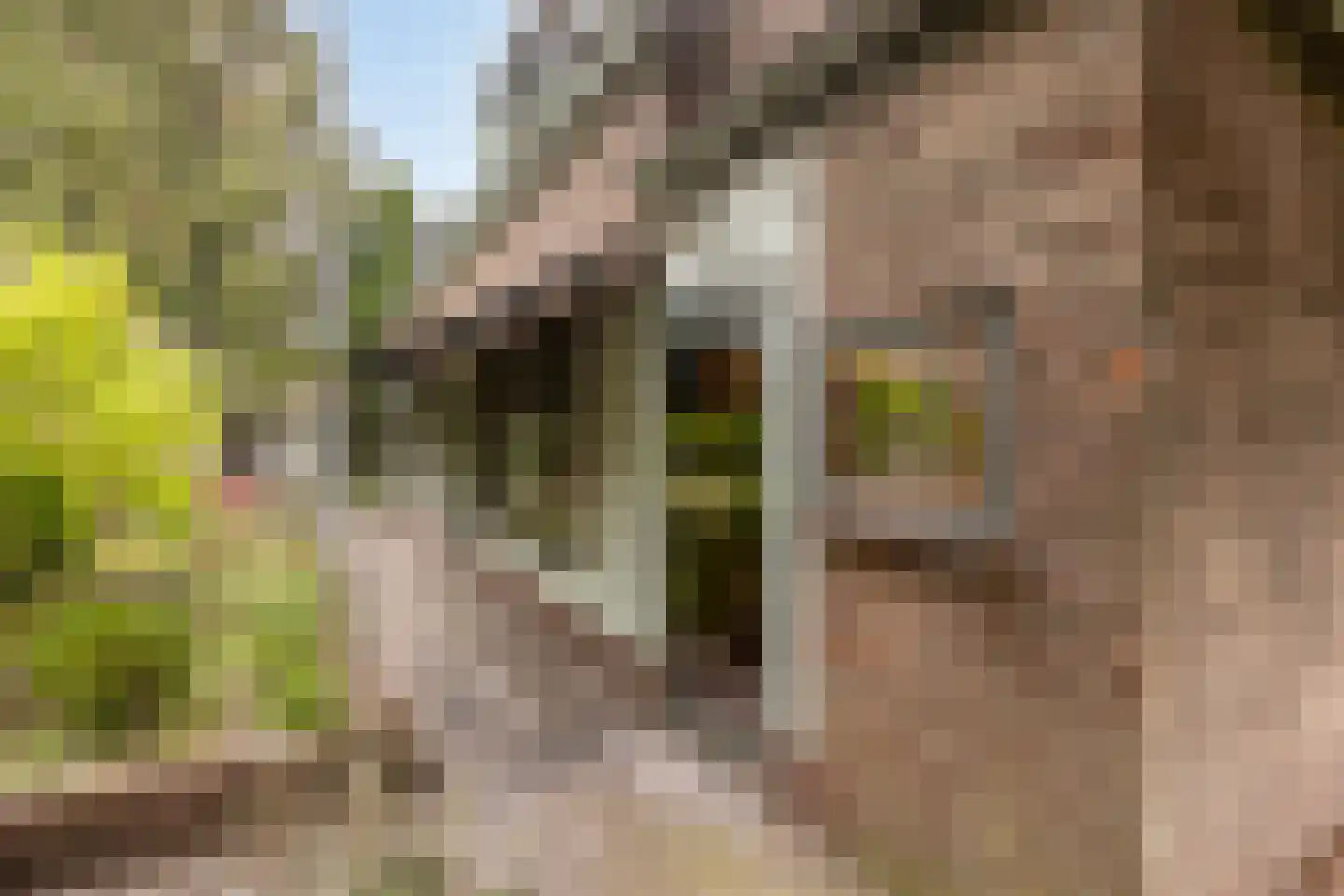 Zandpad 3 Koewacht thumbnail 25