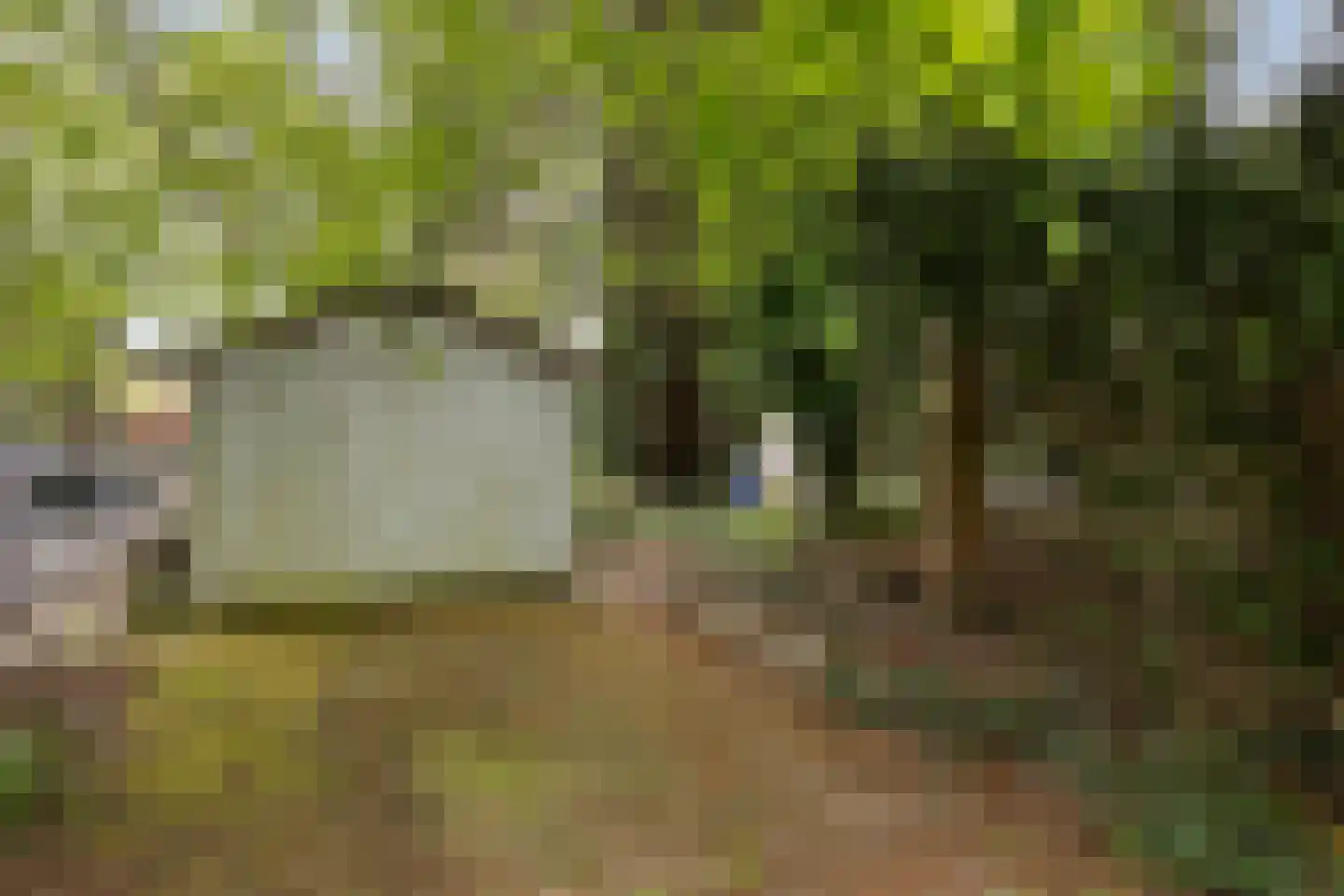 Zandpad 3 Koewacht thumbnail 26