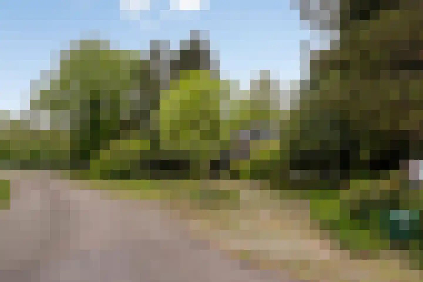 Zandpad 3 Koewacht thumbnail 27