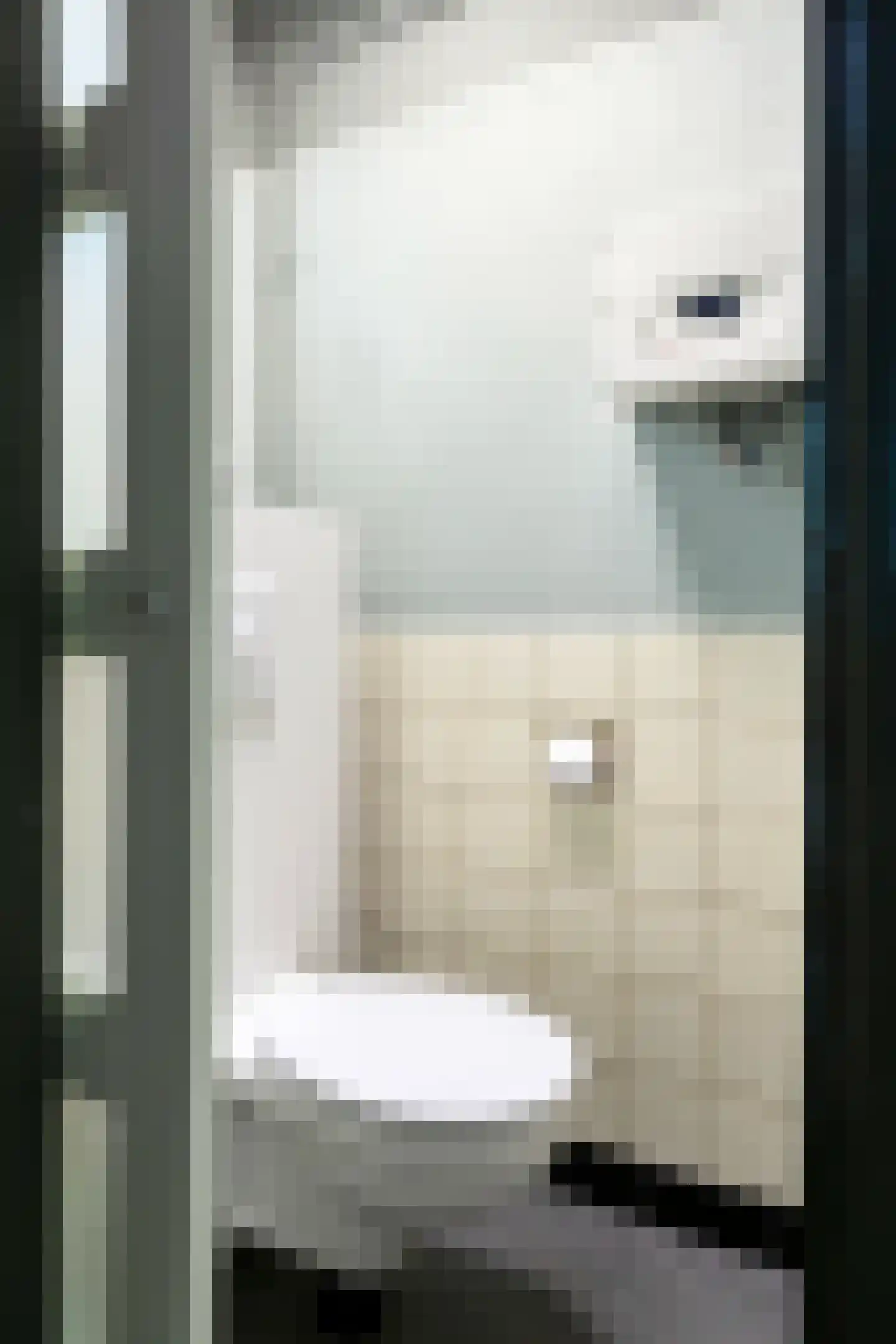 Zandpad 3 Koewacht thumbnail 7