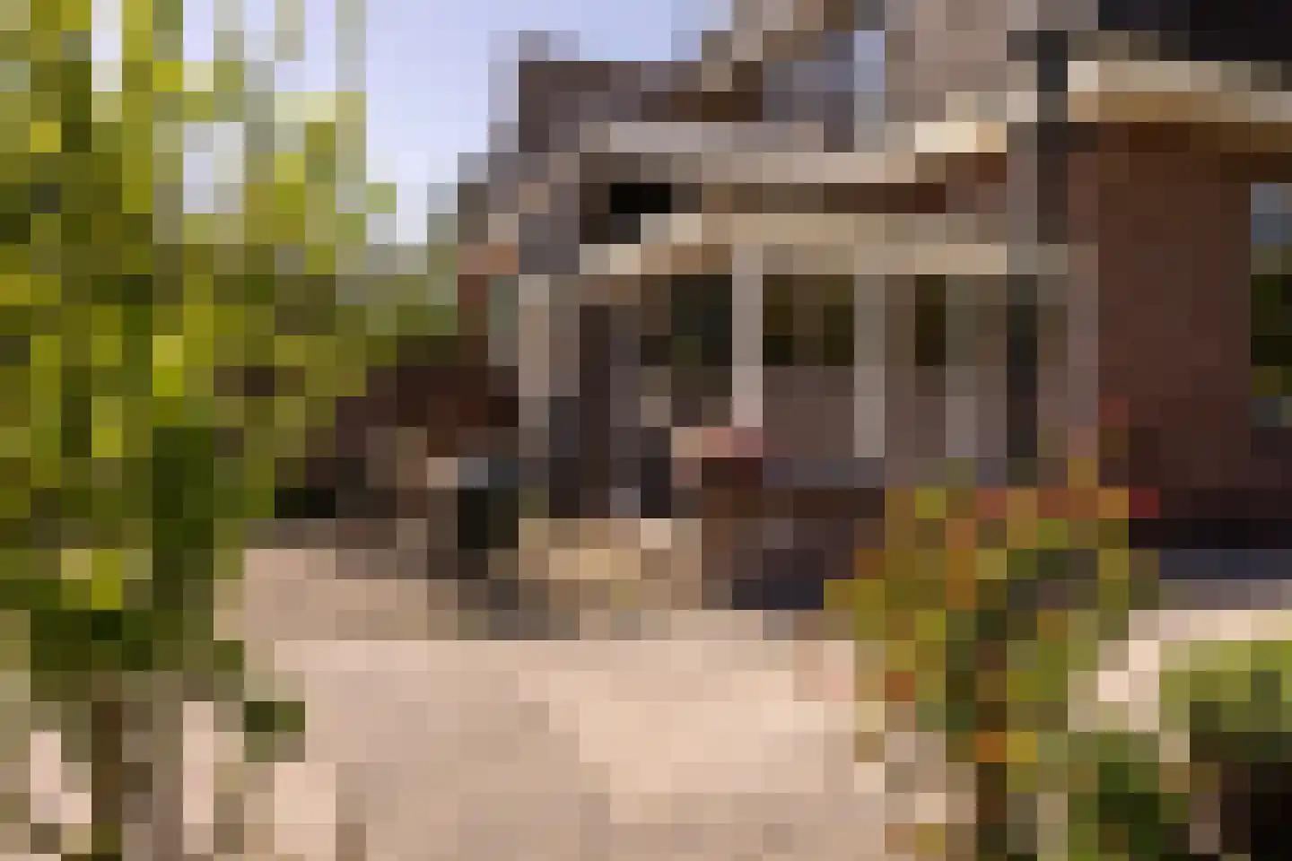 Zandpad 32 Breukelen thumbnail 45