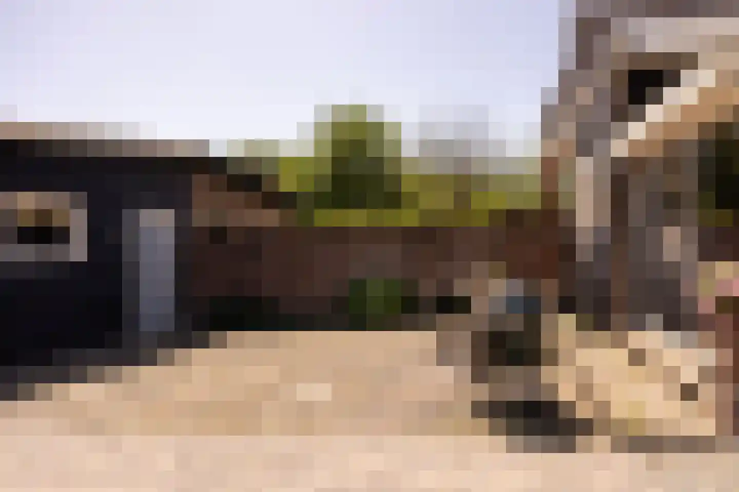 Zandpad 32 Breukelen thumbnail 46