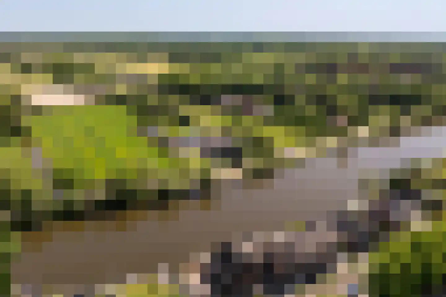 Zandpad 32 Breukelen thumbnail 49