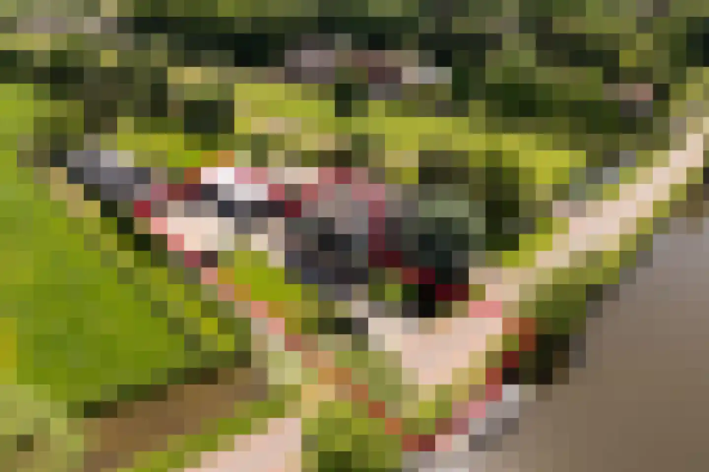Zandpad 32 Breukelen thumbnail 50