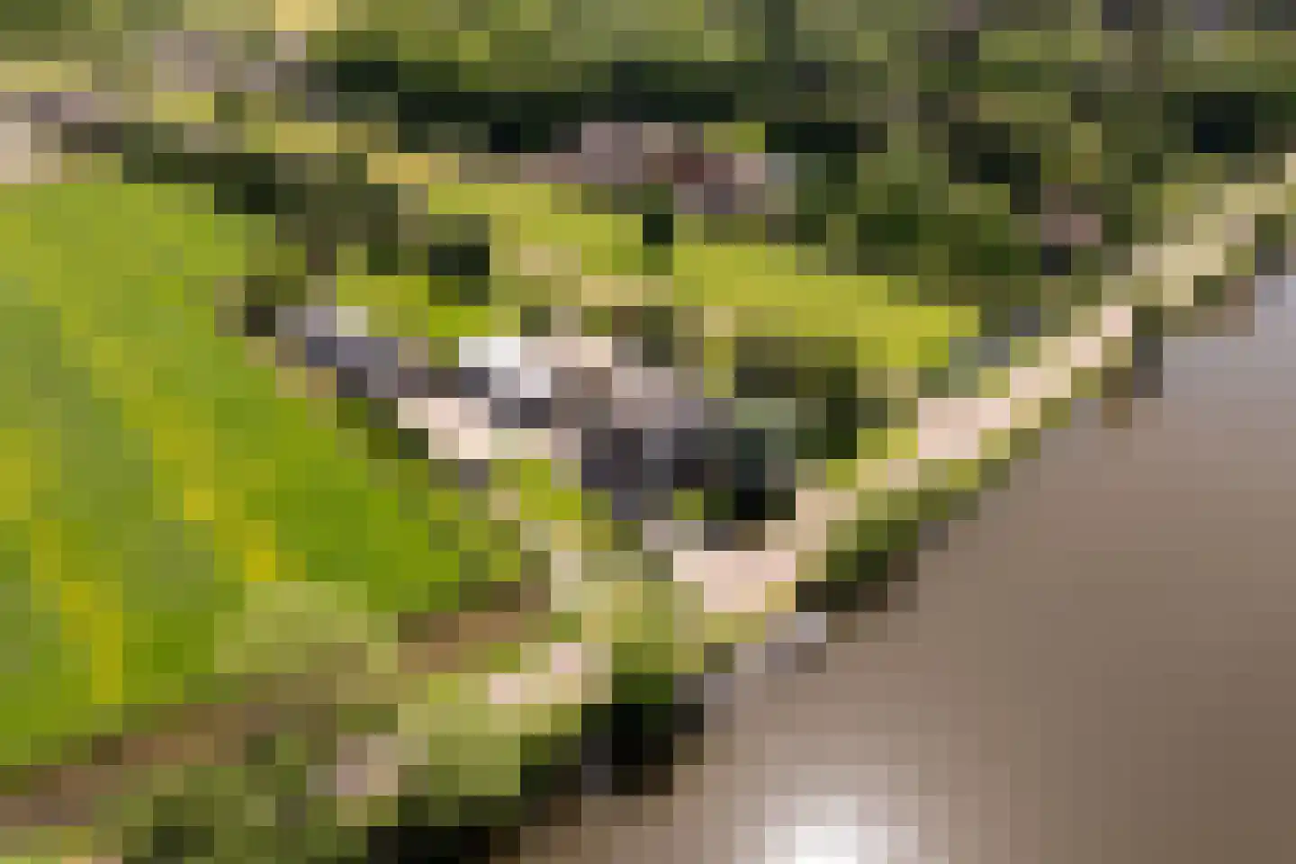 Zandpad 32 Breukelen thumbnail 51
