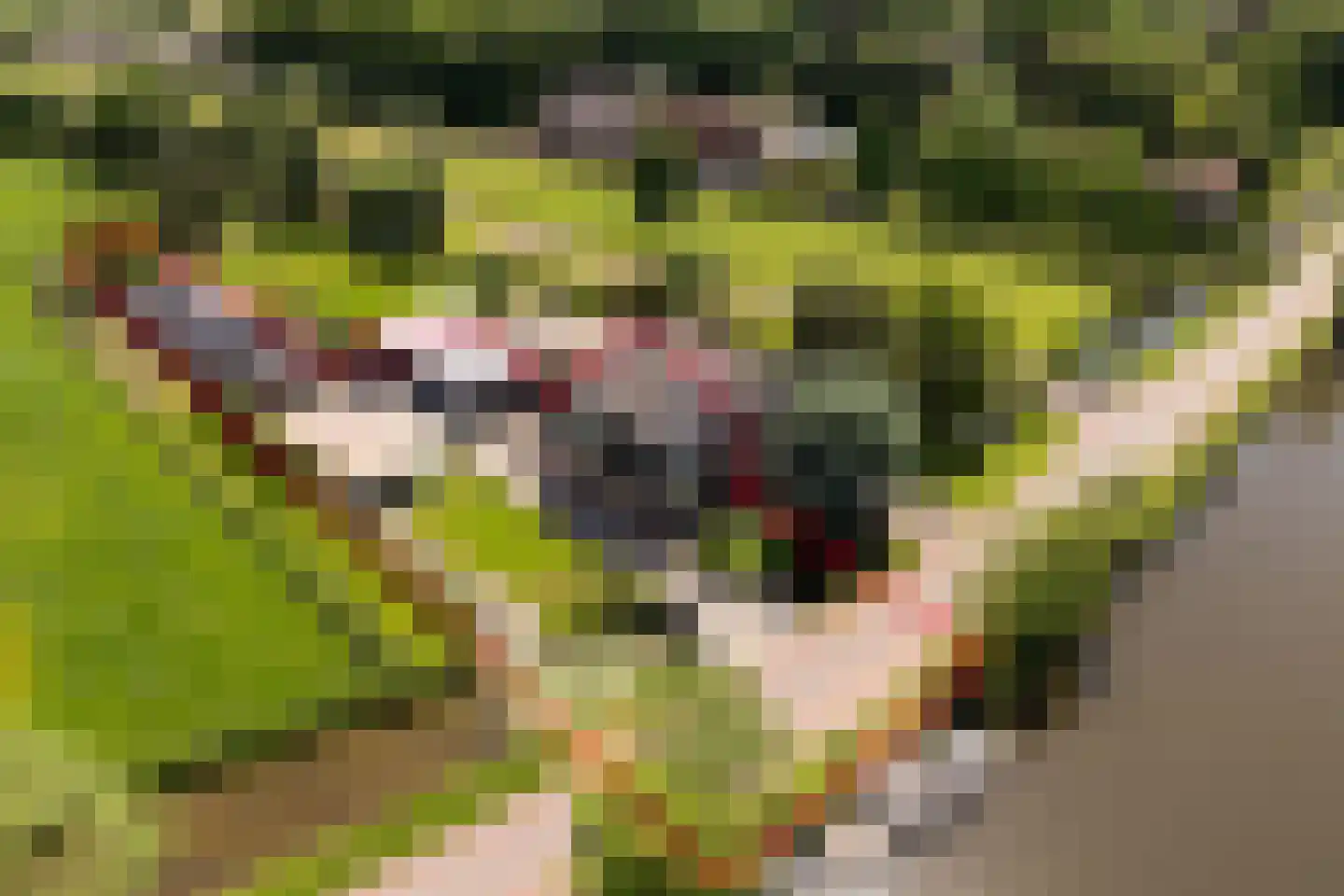Zandpad 32 Breukelen thumbnail 52