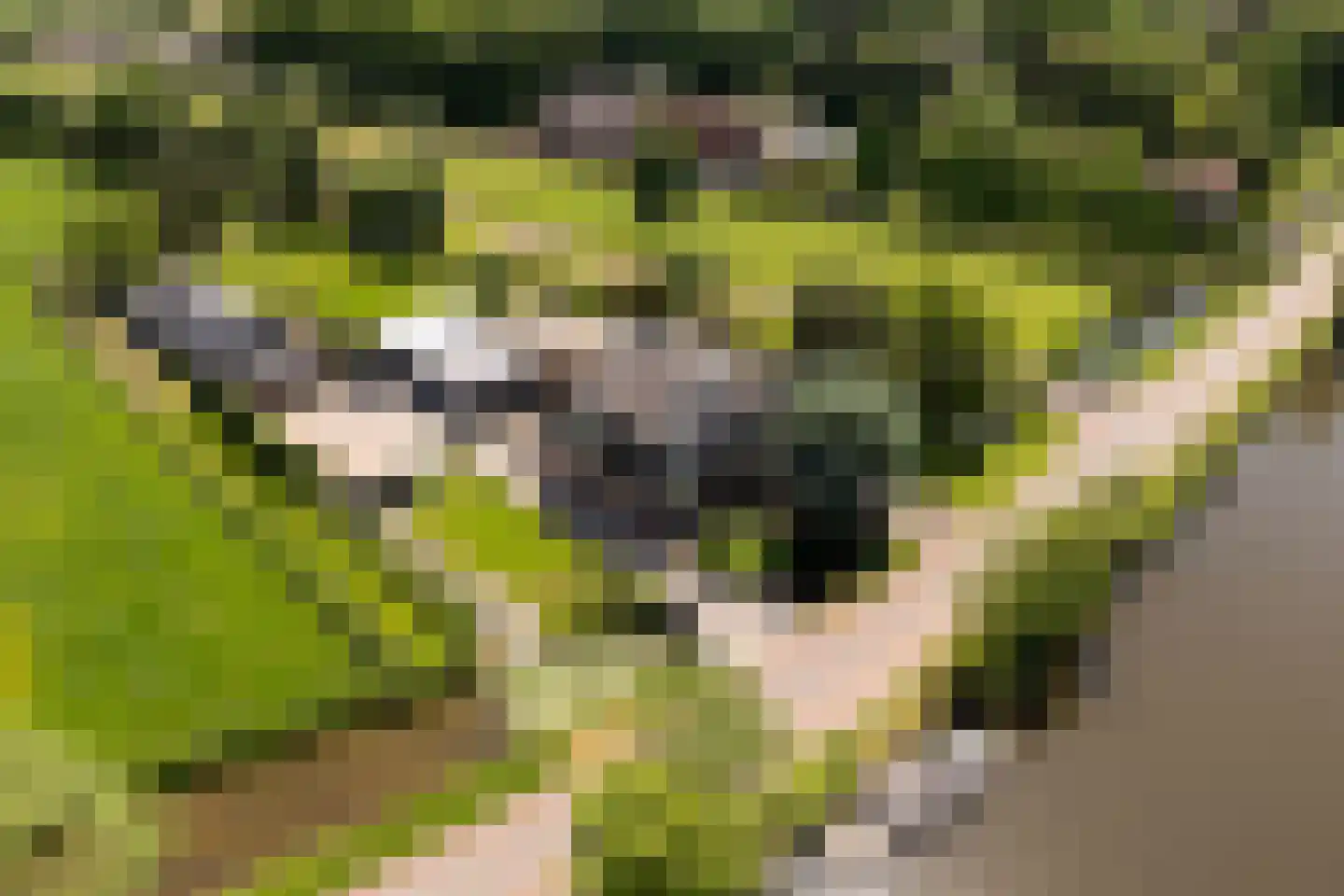 Zandpad 32 Breukelen thumbnail 52