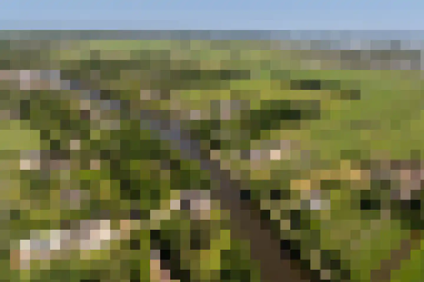 Zandpad 32 Breukelen thumbnail 54