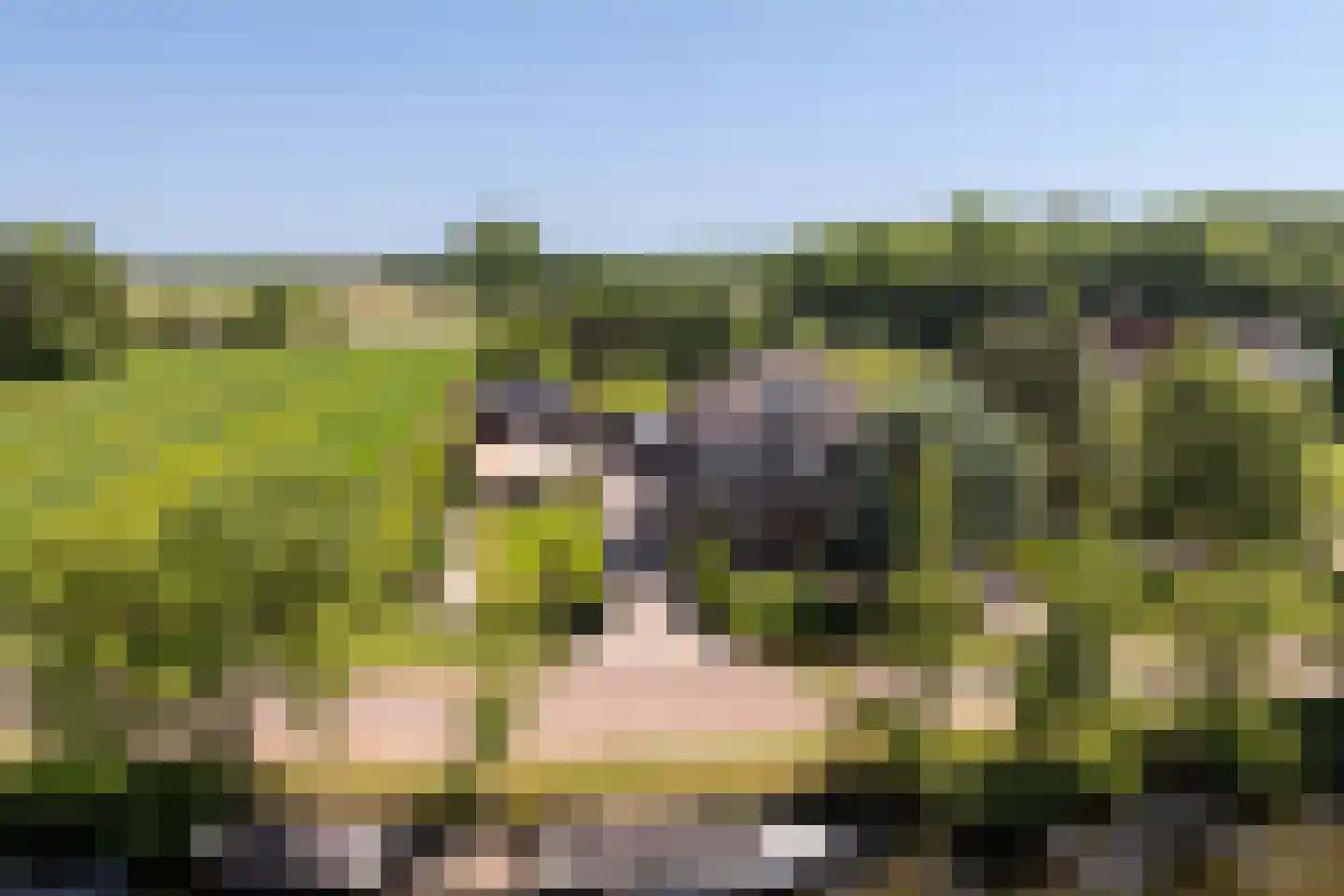 Zandpad 32 Breukelen thumbnail 6