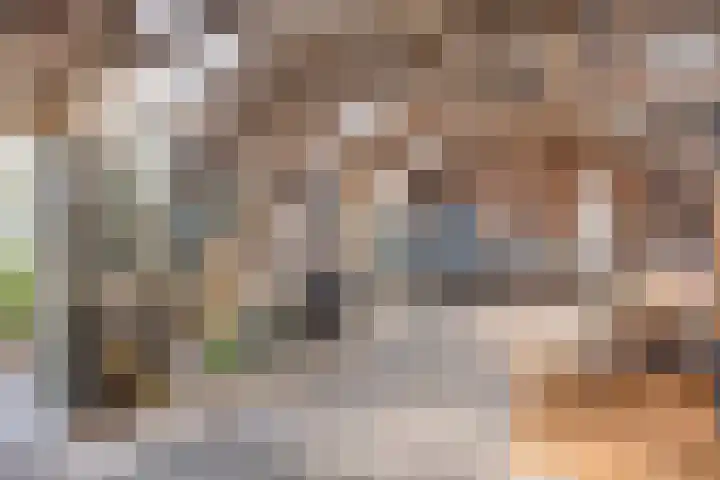 Zandpad 37 Maarssen thumbnail 32