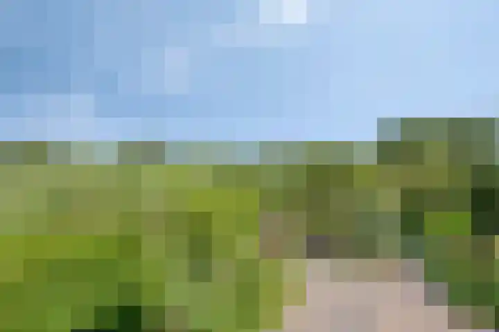 Zandpad 37 Maarssen thumbnail 33