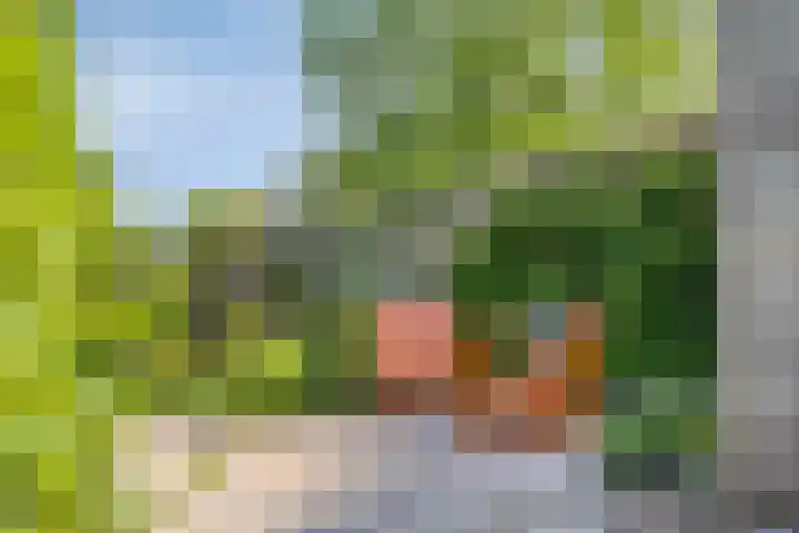 Zandpad 37 Maarssen thumbnail 34