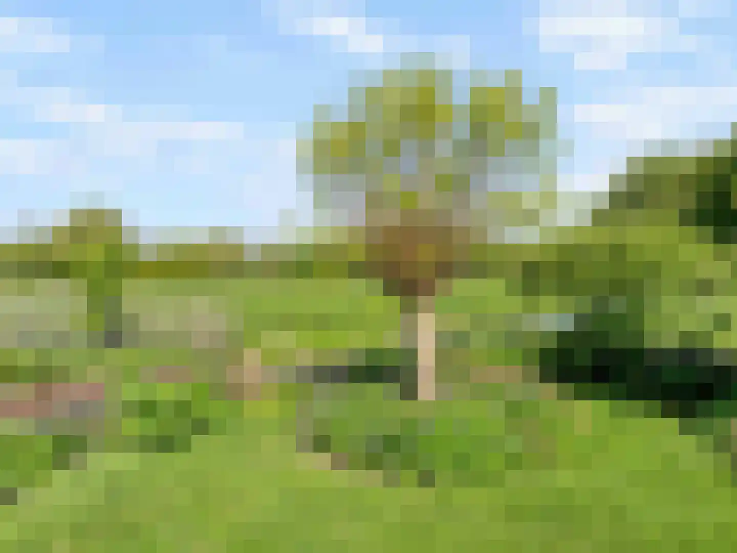 Zandpad 37 Maarssen thumbnail 44