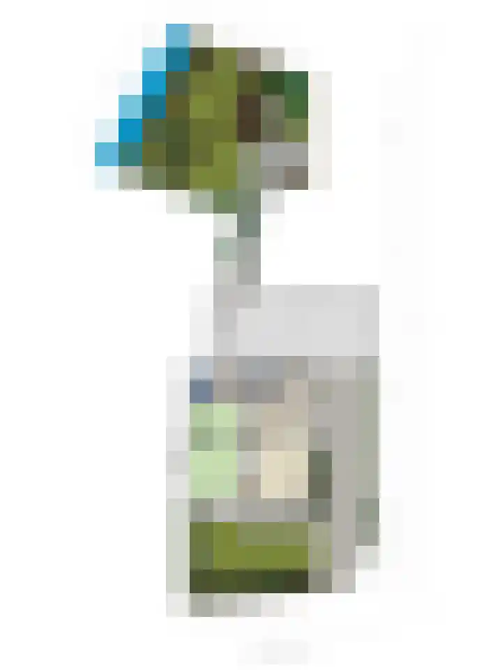 Zandpad 37 Maarssen thumbnail 48