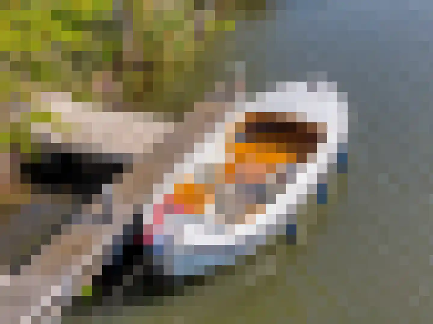 Zandpad 37 Maarssen thumbnail 56