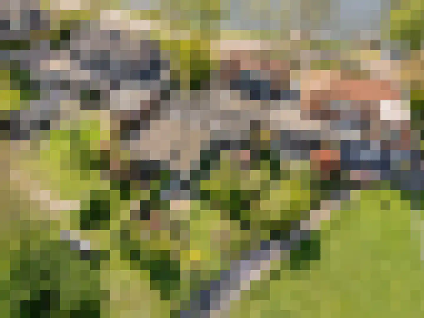 Zandpad 37 Maarssen thumbnail 57