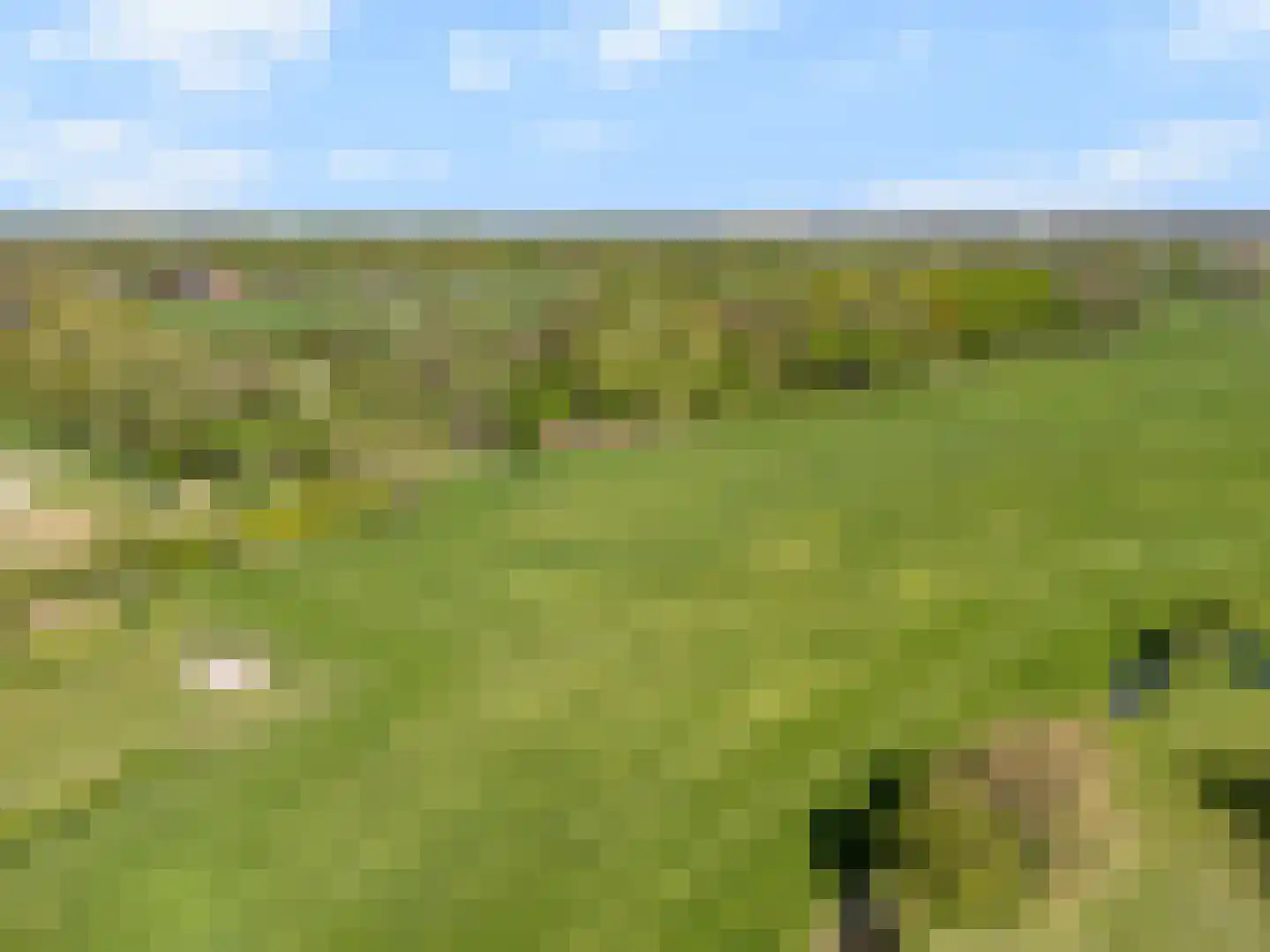 Zandpad 37 Maarssen thumbnail 59