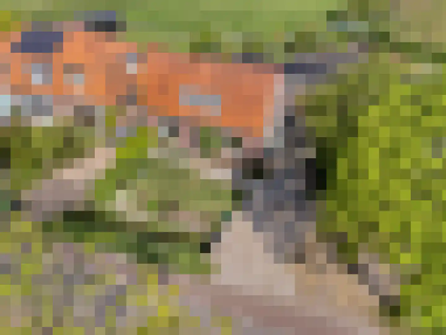 Zandpad 37 Maarssen thumbnail 6