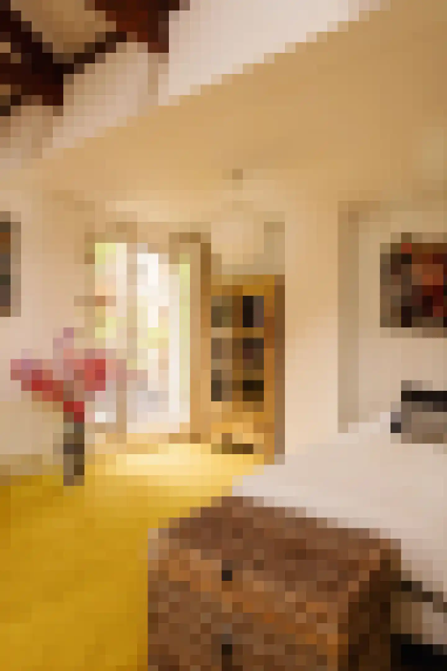 Zandpad 4 Amsterdam thumbnail 16