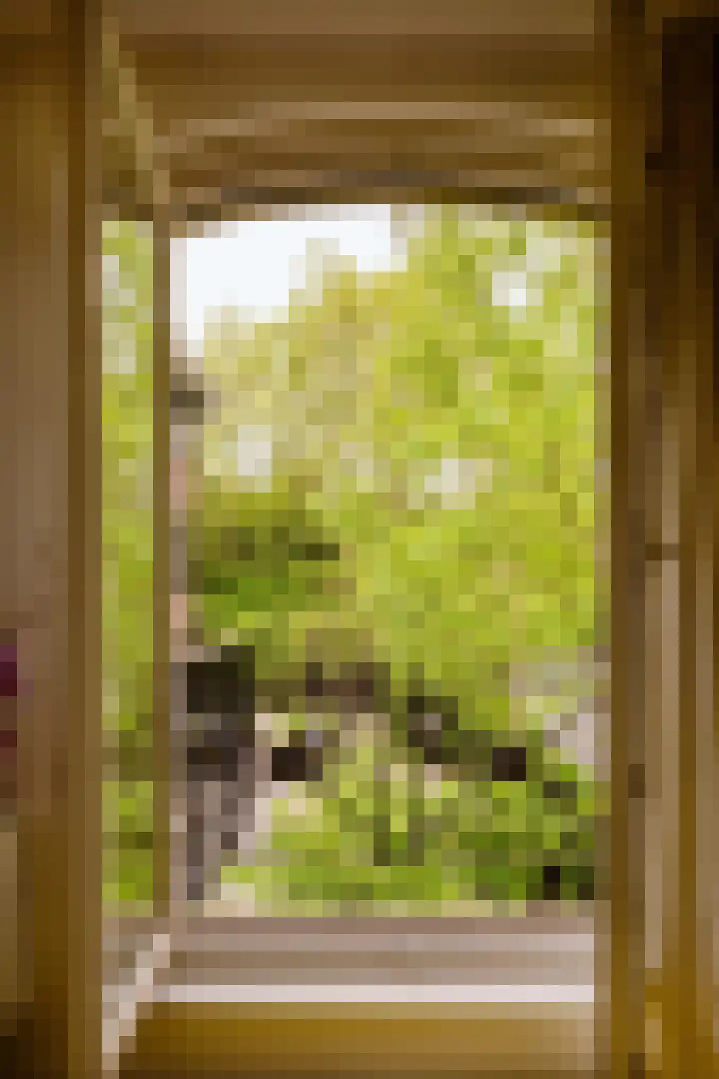 Zandpad 4 Amsterdam thumbnail 18