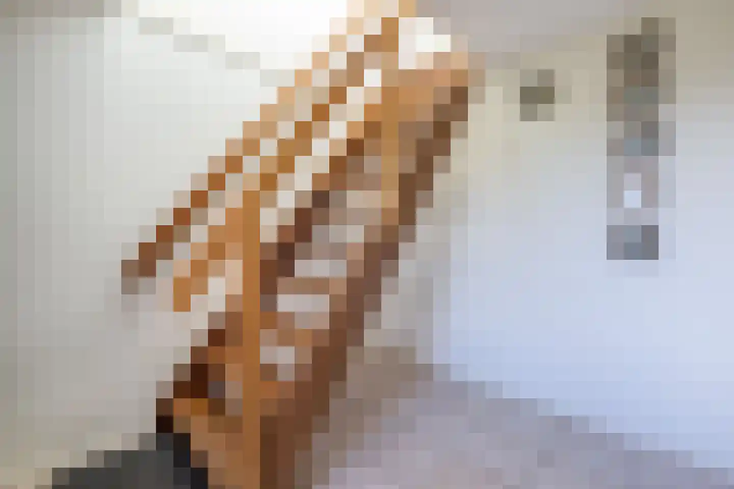 Zandpad 4 Middelharnis thumbnail 14