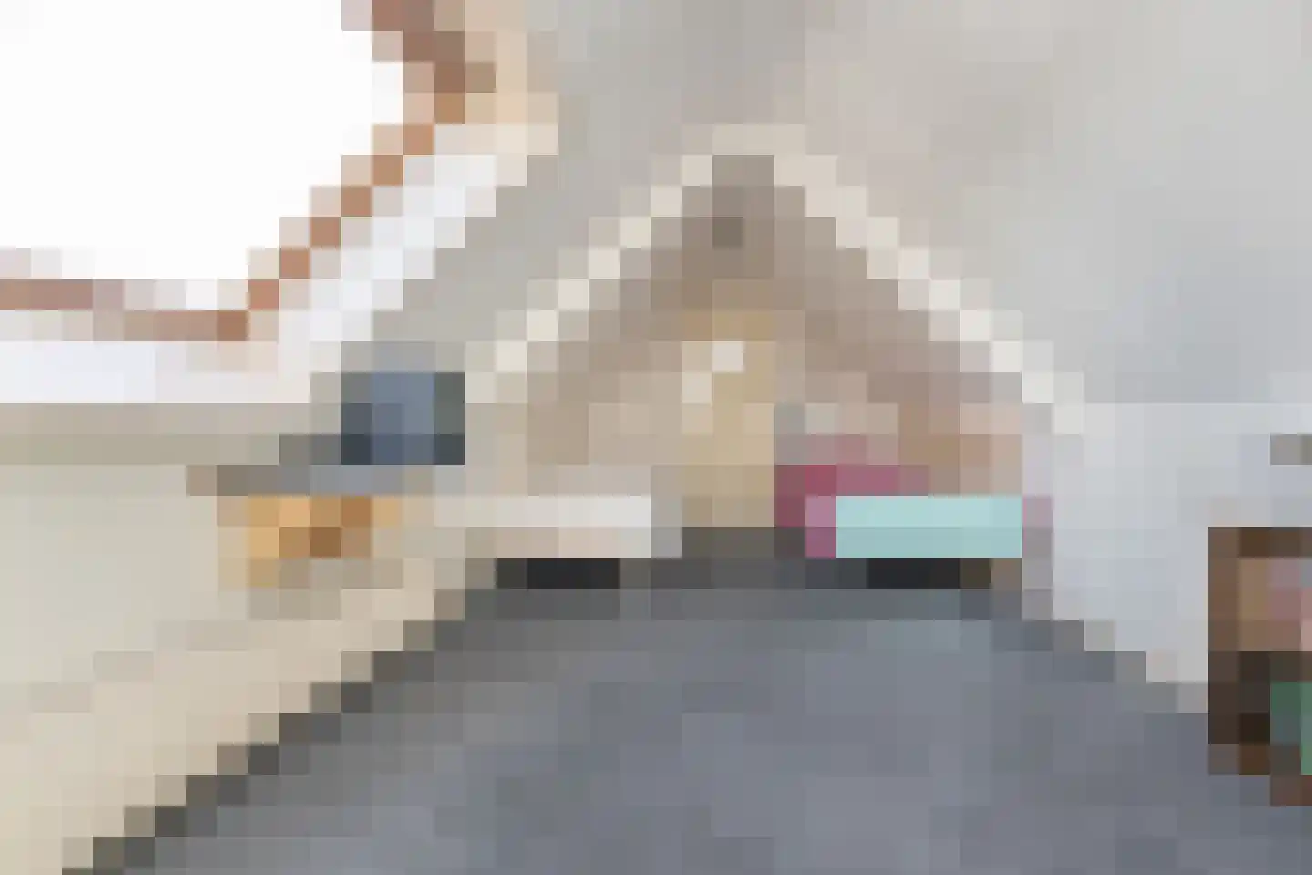 Zandpad 4 Middelharnis thumbnail 27