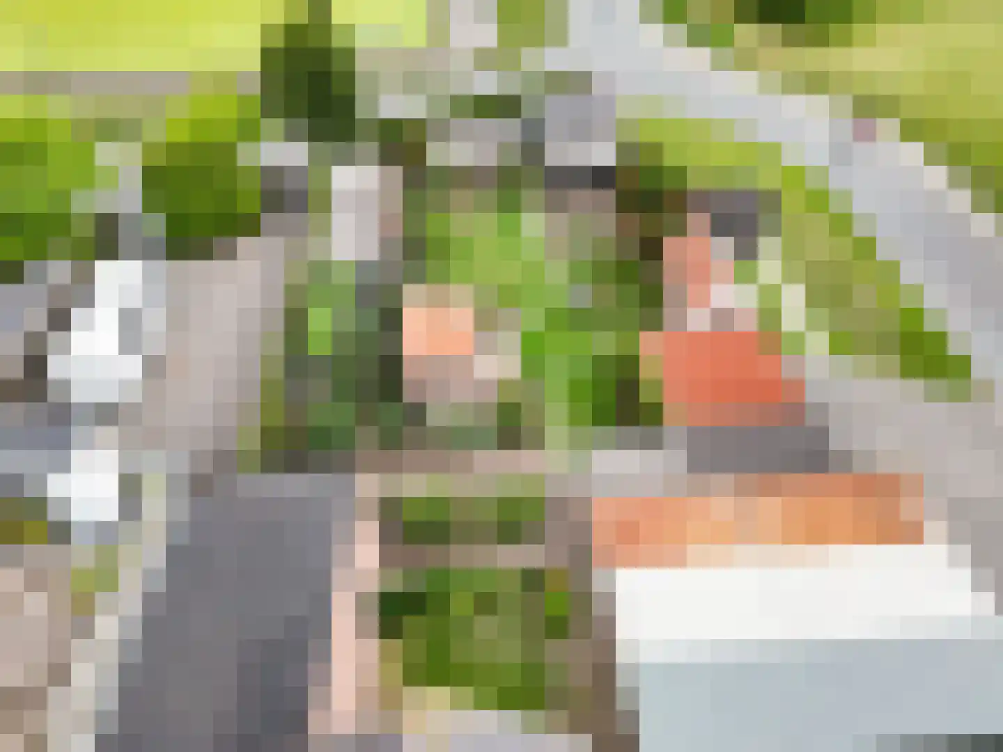 Zandpad 4 Middelharnis thumbnail 44