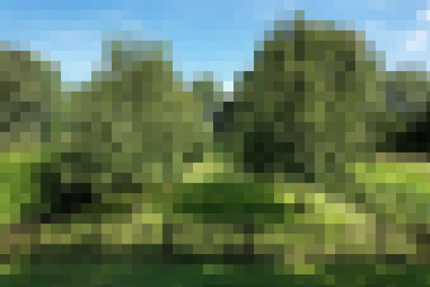 Zandpad 44 Maarssen thumbnail 15