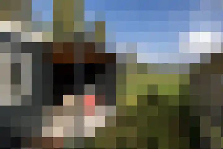 Zandpad 5 Breukelen thumbnail 21