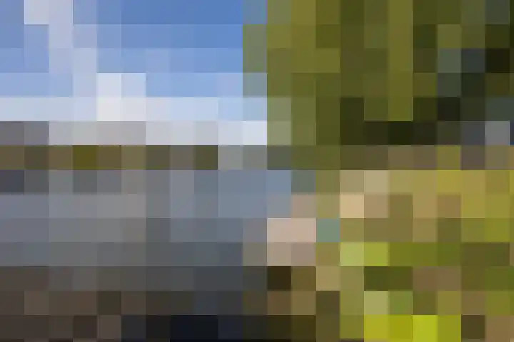 Zandpad 5 Breukelen thumbnail 27