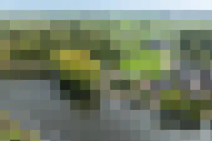 Zandpad 5 Breukelen thumbnail 30