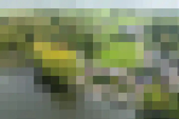 Zandpad 5 Breukelen thumbnail 31