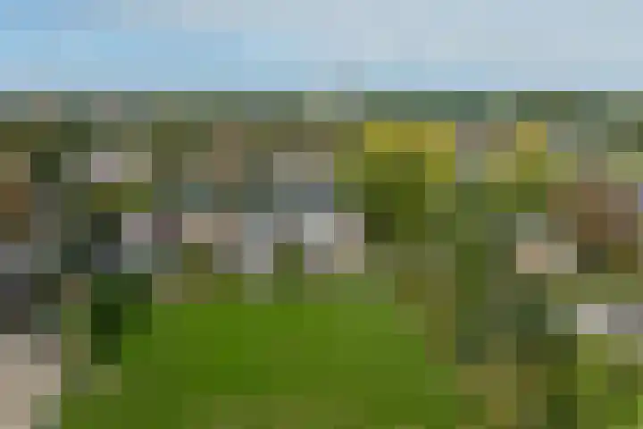 Zandpad 5 Breukelen thumbnail 32