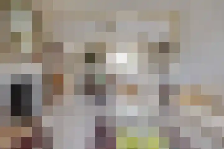Zandpad 5 Breukelen thumbnail 6