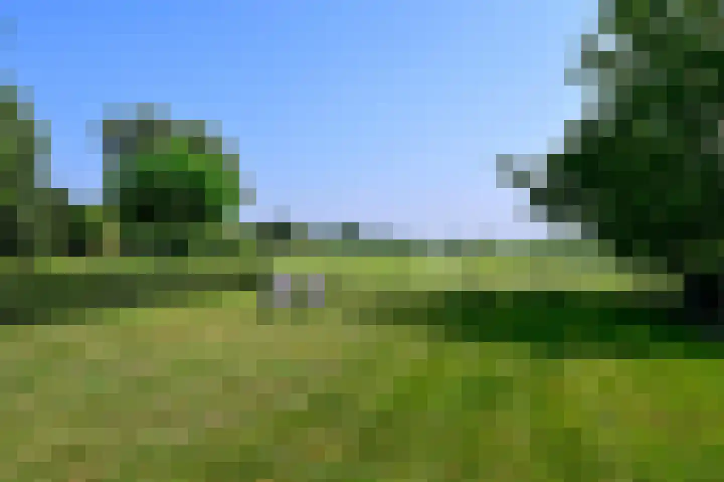 Zandpad 61 Breukelen thumbnail 27