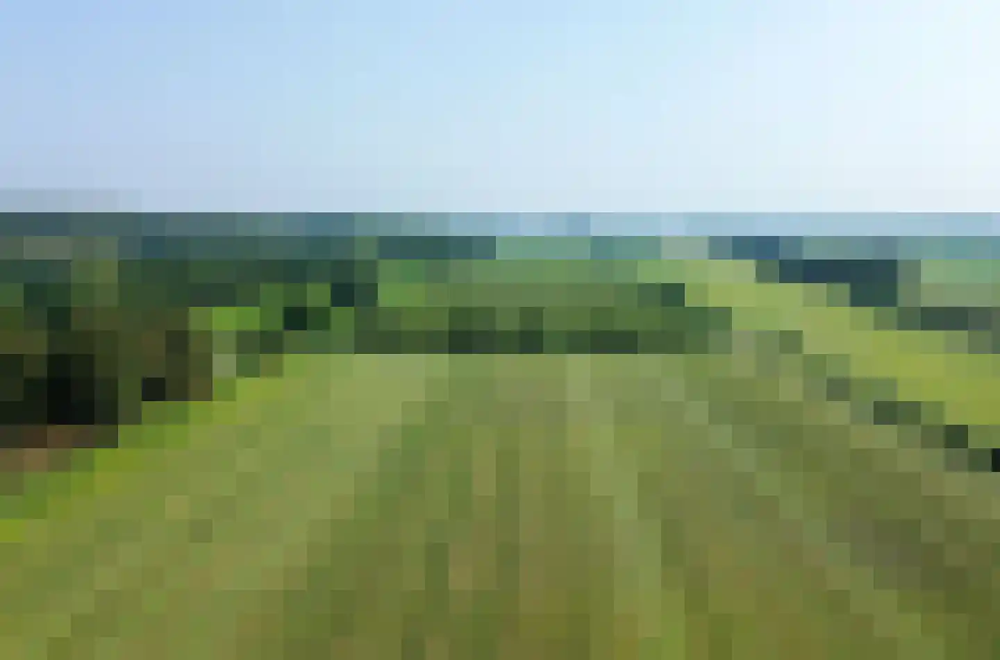 Zandpad 61 Breukelen thumbnail 29