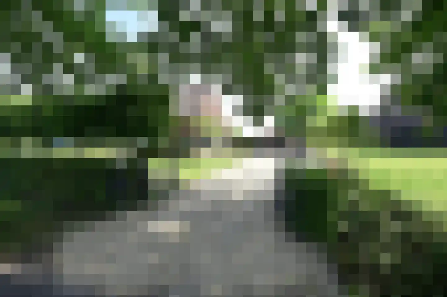 Zandpad 61 Breukelen thumbnail 4