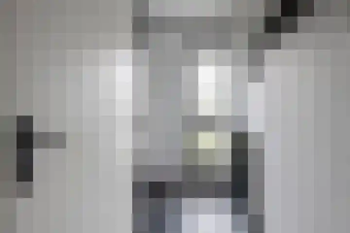 Zandpad 7 Opijnen thumbnail 15