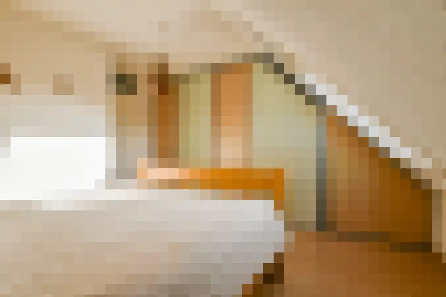 Zandpad-Driemond 24 C Amsterdam thumbnail 15