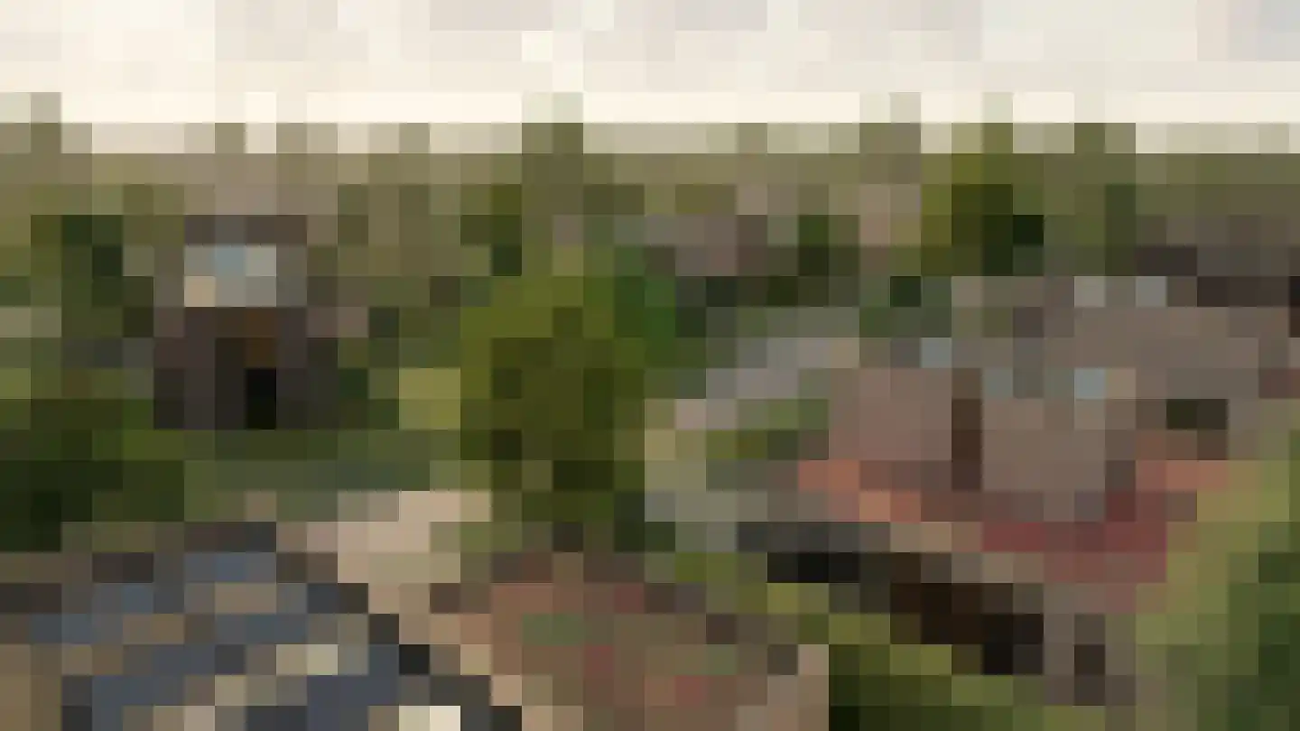 Zandparel 10 Veldhoven thumbnail 12