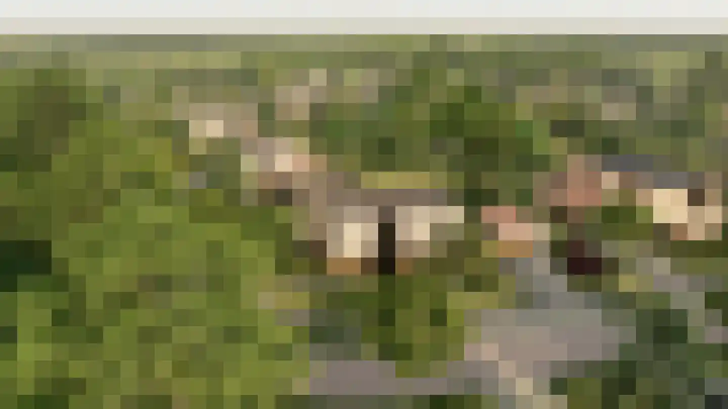 Zandparel 10 Veldhoven thumbnail 14