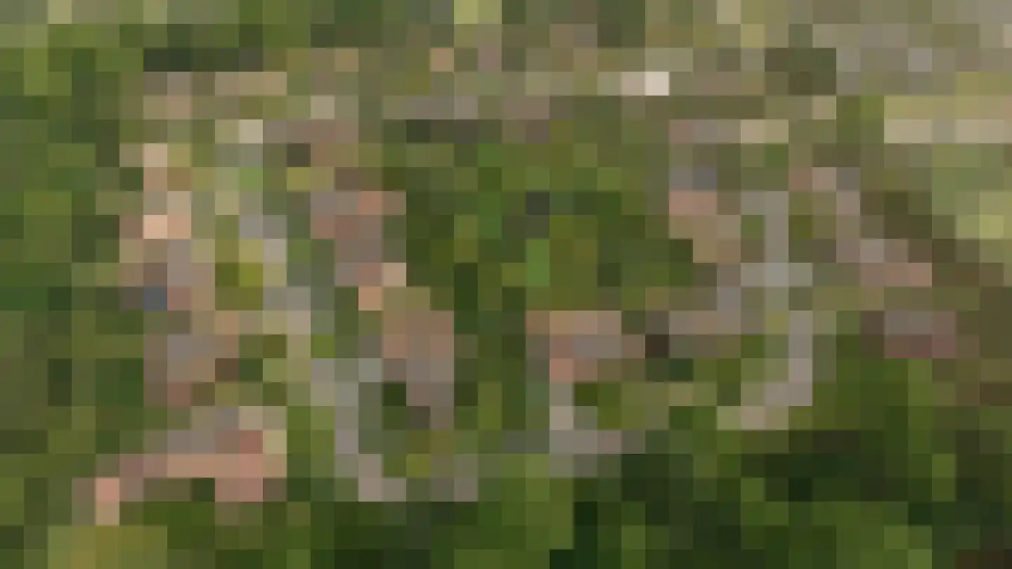 Zandparel 10 Veldhoven thumbnail 7