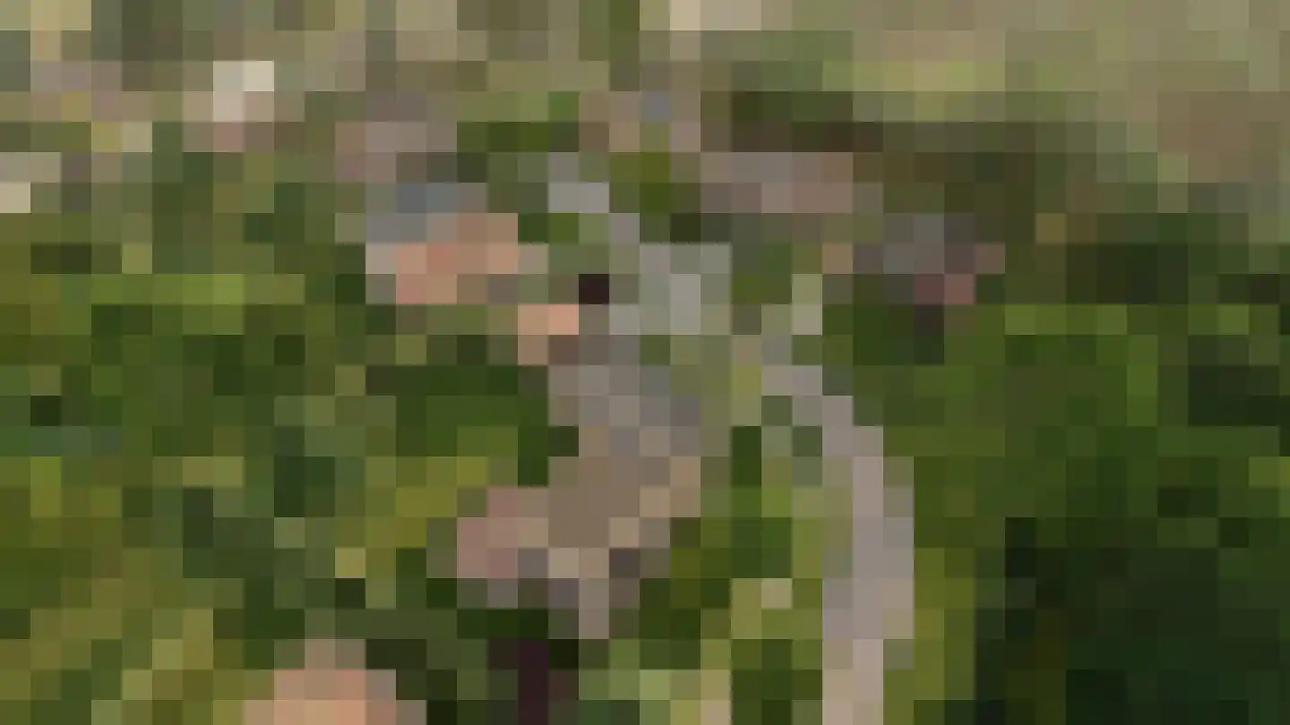 Zandparel 10 Veldhoven thumbnail 8