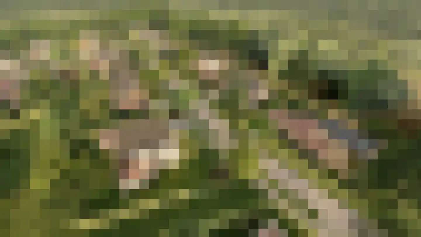 Zandparel 10 Veldhoven thumbnail 9