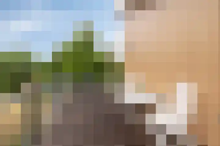 Zandplaat 16 Vlissingen thumbnail 32