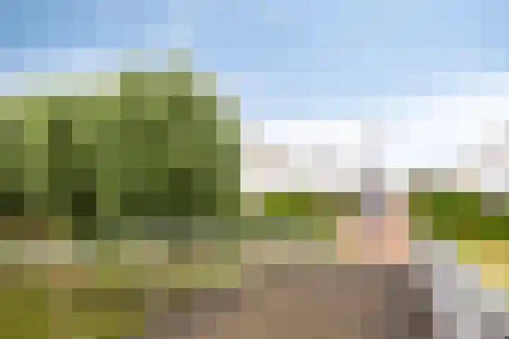 Zandplaat 16 Vlissingen thumbnail 35