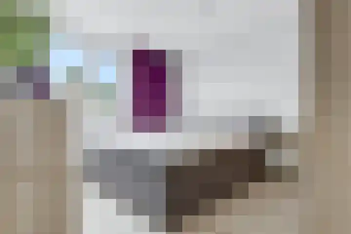 Zandplaat 5 Zeewolde thumbnail 17